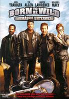 Born to be wild - Saumässig unterwegs