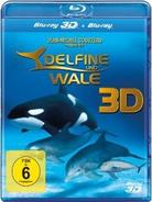Delfine und Wale 3D